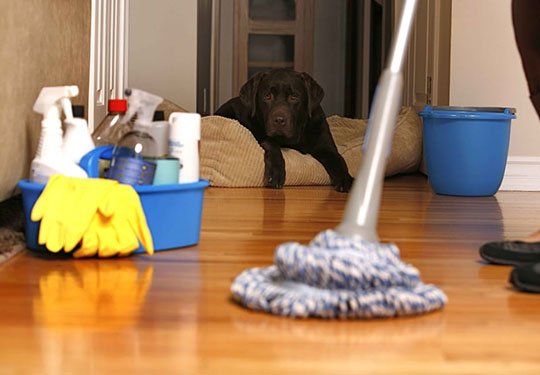 residential-cleaning-suburb-image-1